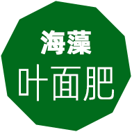 海藻肥,嘉特海藻肥,海藻叶面肥,海藻冲施肥