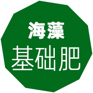 海藻肥,嘉特海藻肥,海藻叶面肥,海藻冲施肥